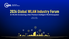 <b>WAA理事长张平</b>